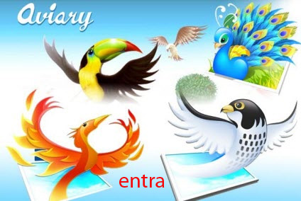 aviary